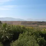 Zagara